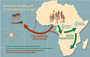 Read more about the article The Bantu Origins: A Journey Through the Historical Biafra Region.
